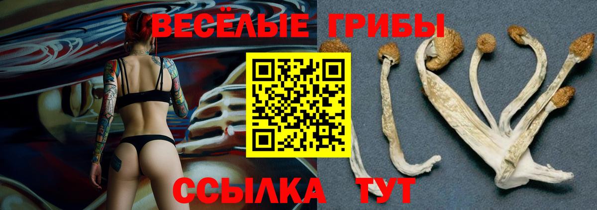 Псилоцибиновые грибы Magic Shrooms  Вход с VPN  Мурманск 